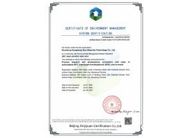 环境管理体系认证证书英文版