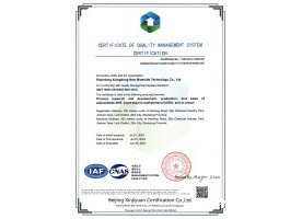 质量管理体系认证证书英文版